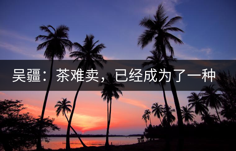 吳疆：茶難賣，已經(jīng)成為了一種普遍現(xiàn)象