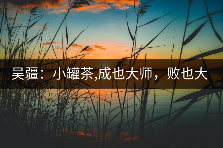 吳疆：小罐茶,成也大師，敗也大師