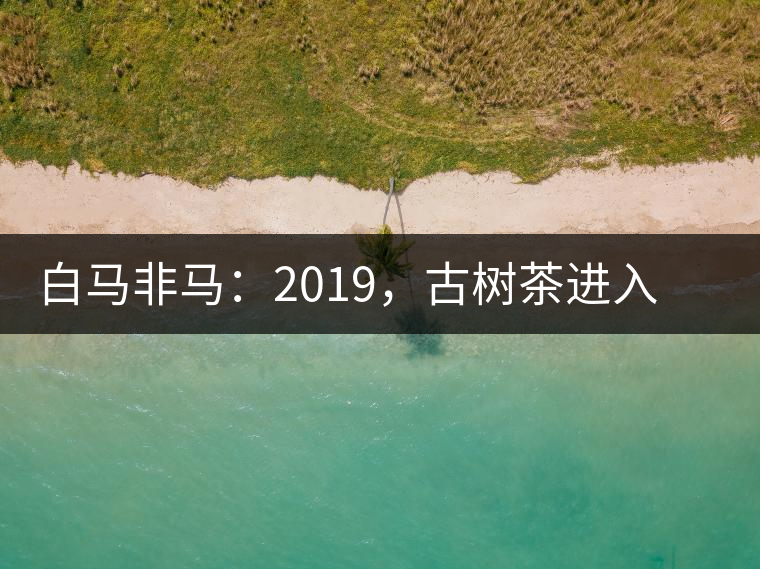 白馬非馬：2019，古樹(shù)茶進(jìn)入醇料時(shí)代
