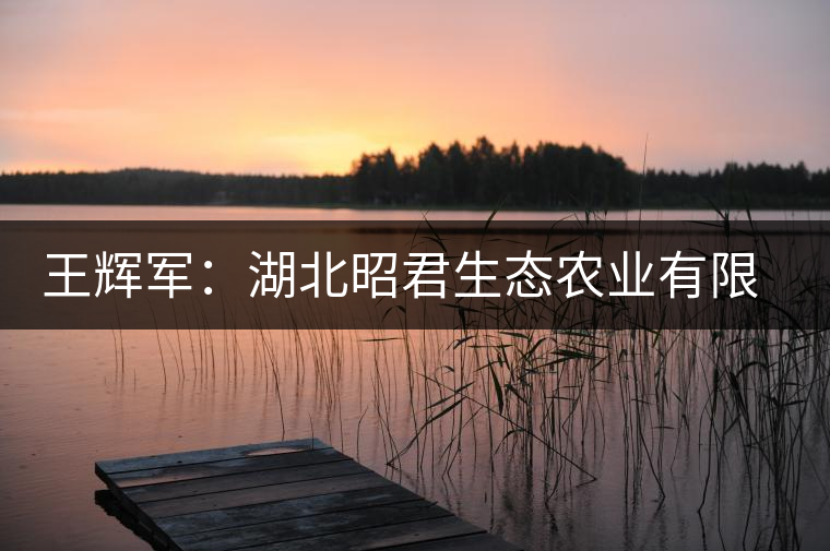 王輝軍：湖北昭君生態(tài)農(nóng)業(yè)有限公司董事長