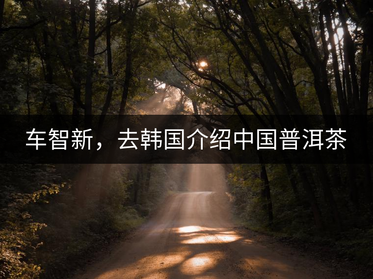 車智新，去韓國(guó)介紹中國(guó)普洱茶