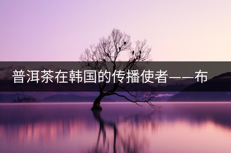 普洱茶在韓國的傳播使者——布朗株式會(huì)社 普洱茶在韓國的傳播使者——布朗株式會(huì)社
