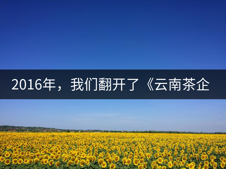 2016年，我們翻開(kāi)了《云南茶企發(fā)展白皮書(shū)》