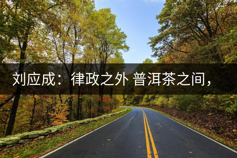 劉應成：律政之外 普洱茶之間，在峨毛茶上的三個首創(chuàng)