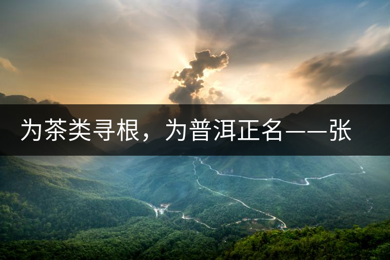 為茶類(lèi)尋根，為普洱正名——張宏達(dá)的普洱茶研究