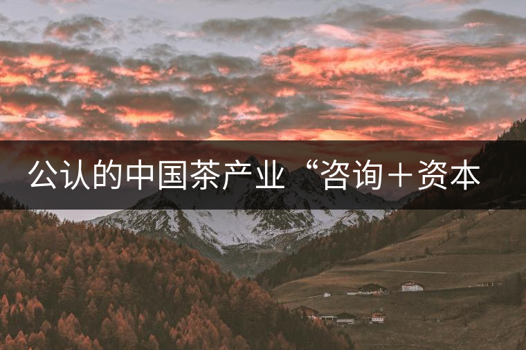公認(rèn)的中國茶產(chǎn)業(yè)“咨詢＋資本”第一人：蔣同