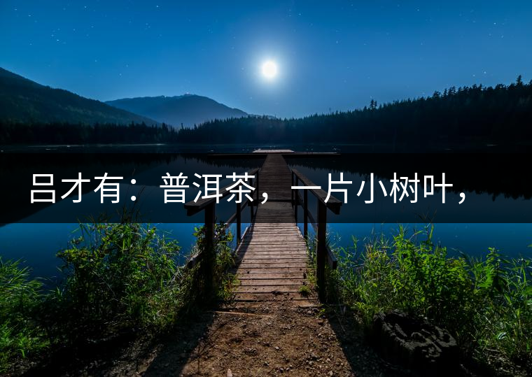 呂才有：普洱茶，一片小樹葉，一個大產(chǎn)業(yè)
