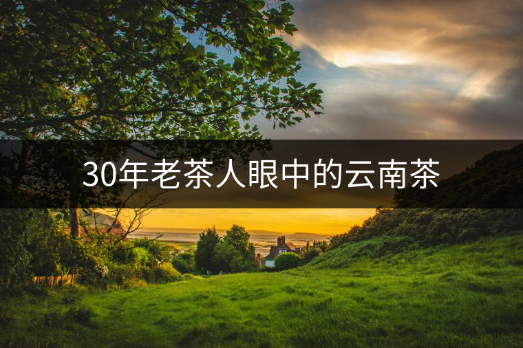 30年老茶人眼中的云南茶