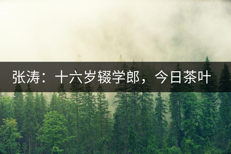 張濤：十六歲輟學(xué)郎，今日茶葉中堅