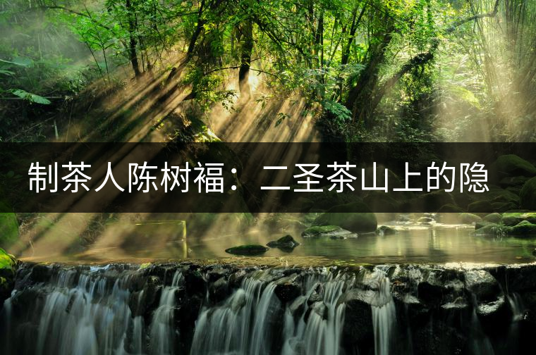 制茶人陳樹褔：二圣茶山上的隱居歲月