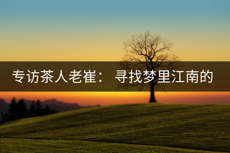 專訪茶人老崔： 尋找夢里江南的茶園茶