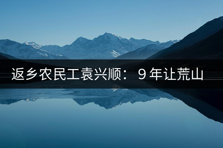 返鄉(xiāng)農(nóng)民工袁興順:9年讓荒山變成了茶山 返鄉(xiāng)農(nóng)民工袁興順:9年讓荒山變成了茶山