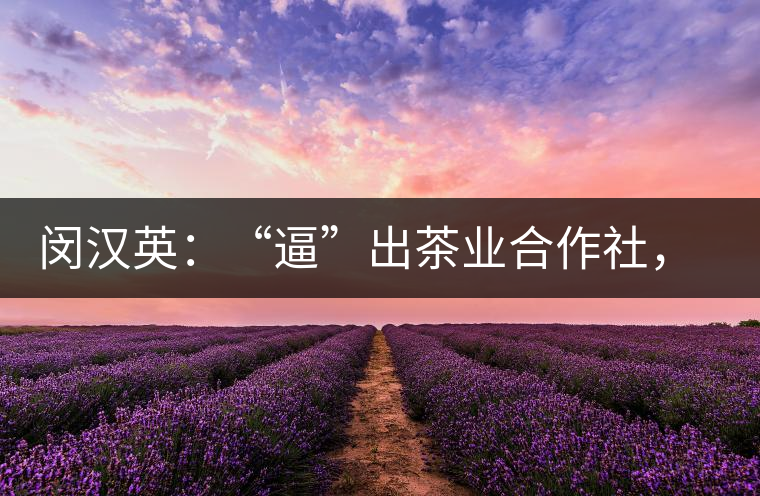 閔漢英：“逼”出茶業(yè)合作社，帶領(lǐng)村民走上致富路