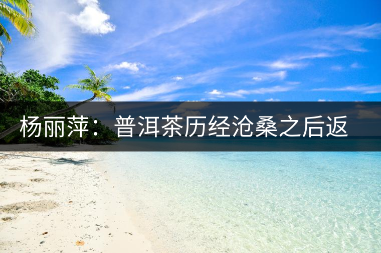 楊麗萍：普洱茶歷經(jīng)滄桑之后返璞歸真
