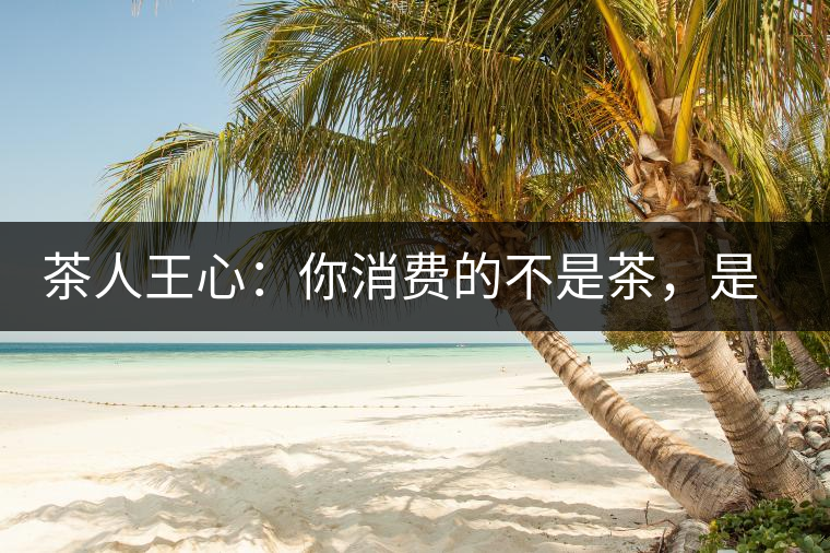 茶人王心：你消費(fèi)的不是茶，是我