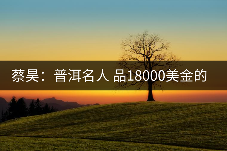 蔡昊:普洱名人 品18000美金的“宋聘號(hào)” 蔡昊:普洱名人 品18000美金的“宋聘號(hào)”