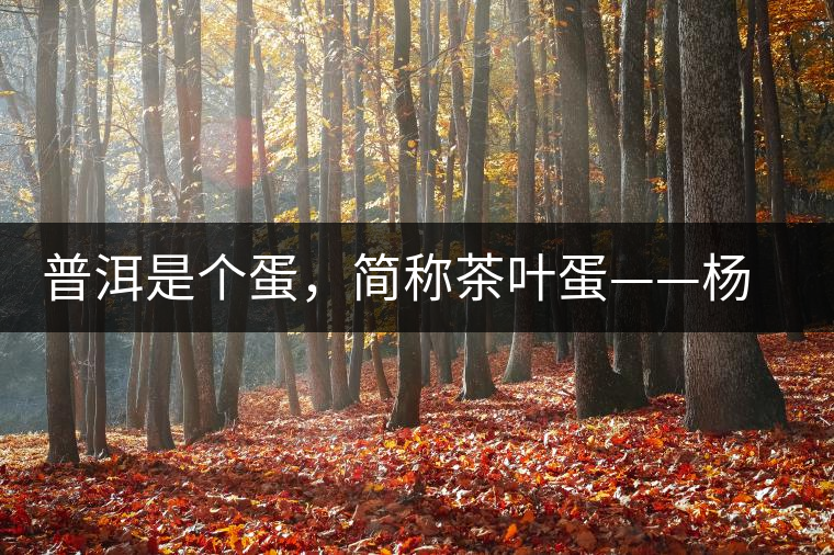 普洱是個蛋，簡稱茶葉蛋——楊鎮(zhèn)瑜訪談錄