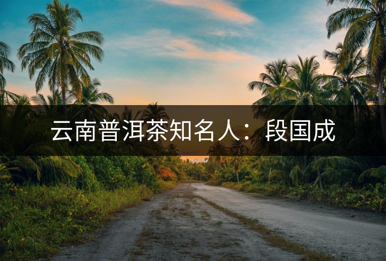 云南普洱茶知名人：段國成