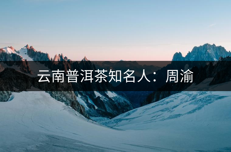 云南普洱茶知名人：周渝