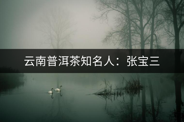 云南普洱茶知名人:張寶三 云南普洱茶知名人:張寶三