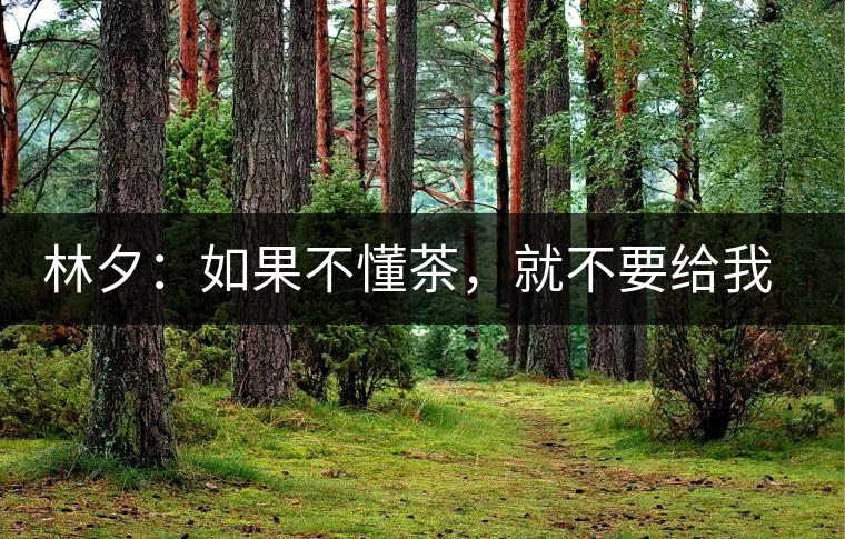 林夕：如果不懂茶，就不要給我送茶