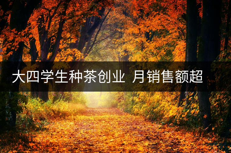 大四學生種茶創(chuàng)業(yè)  月銷售額超五十萬