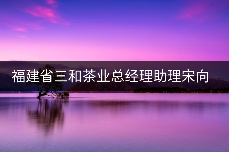 福建省三和茶業(yè)總經(jīng)理助理宋向洪專訪：茶行業(yè)，在探索中前行