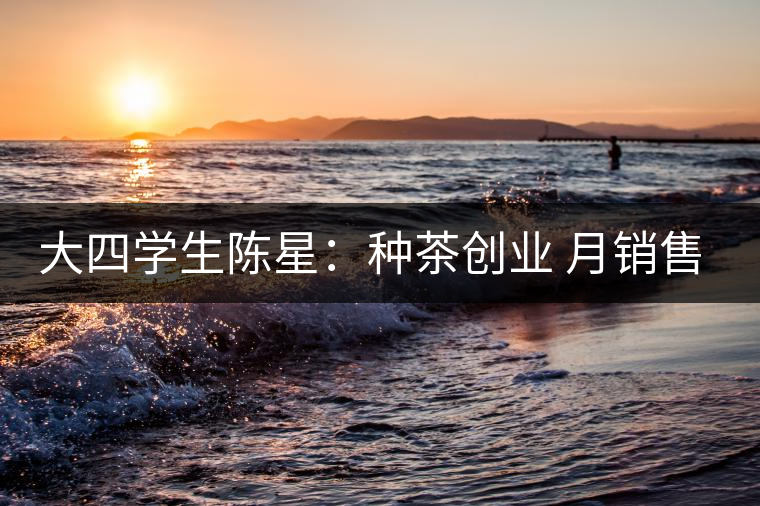 大四學(xué)生陳星：種茶創(chuàng)業(yè) 月銷售額超五十萬(wàn)