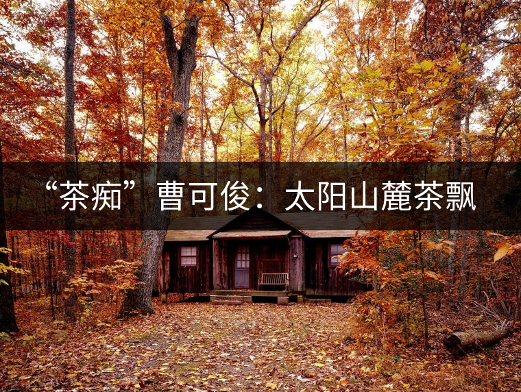 “茶癡”曹可?。禾?yáng)山麓茶飄香，清明時(shí)節(jié)采茶忙