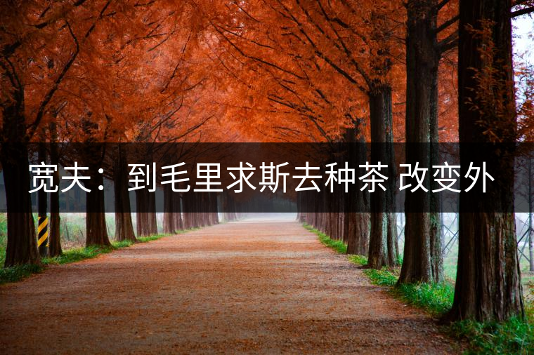 寬夫：到毛里求斯去種茶 改變外國(guó)人喝茶沒底線