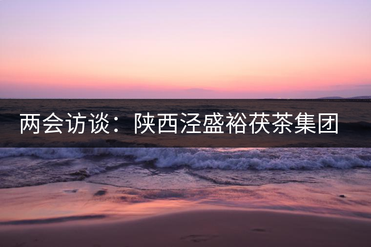 兩會(huì)訪談:陜西涇盛裕茯茶集團(tuán)董事長馬恒光 兩會(huì)訪談:陜西涇盛裕茯茶集團(tuán)董事長馬恒光