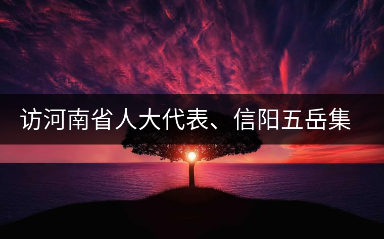 訪河南省人大代表、信陽(yáng)五岳集團(tuán)董事長(zhǎng)胡鎮(zhèn)——茶鄉(xiāng)亦飄茶油香