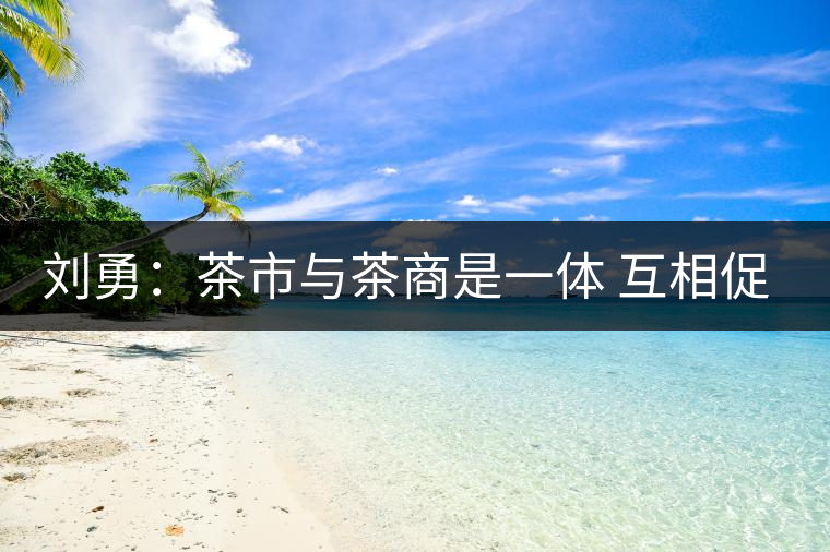 劉勇：茶市與茶商是一體 互相促進(jìn)才能更好發(fā)展