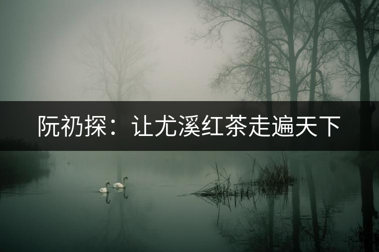 阮礽探：讓尤溪紅茶走遍天下