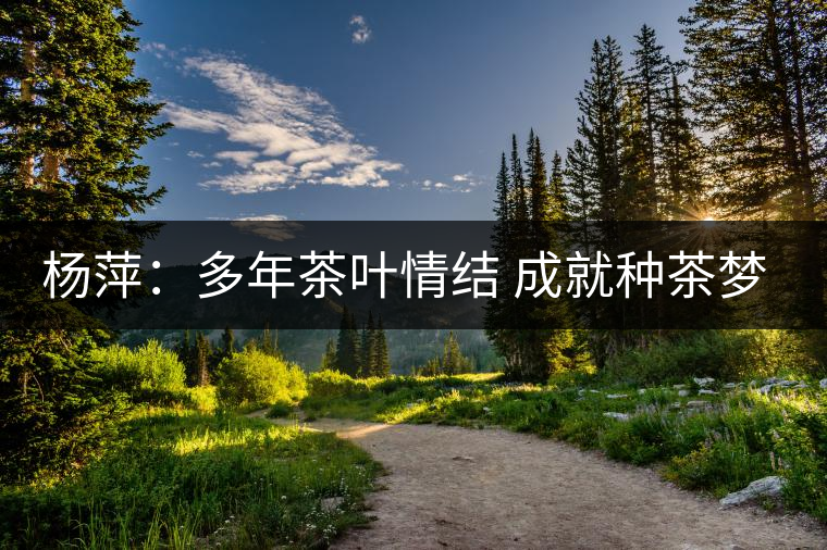 楊萍:多年茶葉情結(jié) 成就種茶夢(mèng)想 楊萍:多年茶葉情結(jié) 成就種茶夢(mèng)想