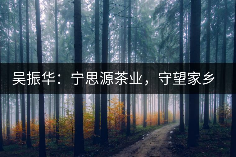 吳振華：寧思源茶業(yè)，守望家鄉(xiāng) 做好“金獎茶王”