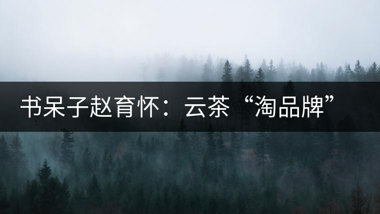 書呆子趙育懷：云茶“淘品牌”的進化之路