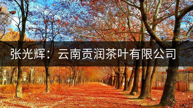 張光輝:云南貢潤茶葉有限公司董事長 張光輝:云南貢潤茶葉有限公司董事長