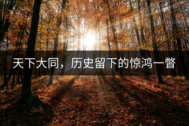 天下大同，歷史留下的驚鴻一瞥