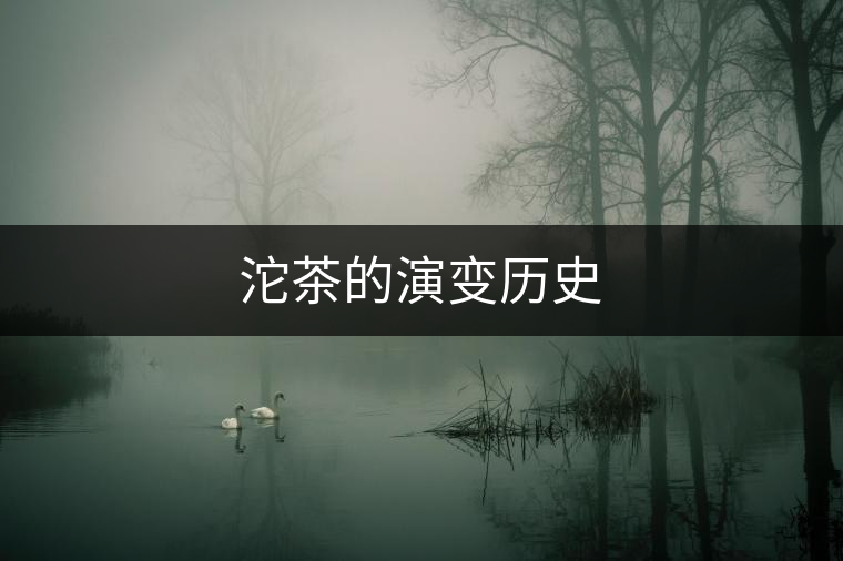 沱茶的演變歷史