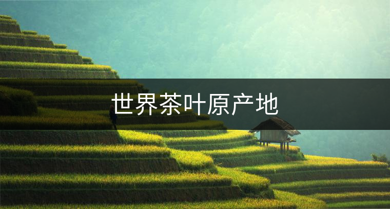 世界茶葉原產(chǎn)地