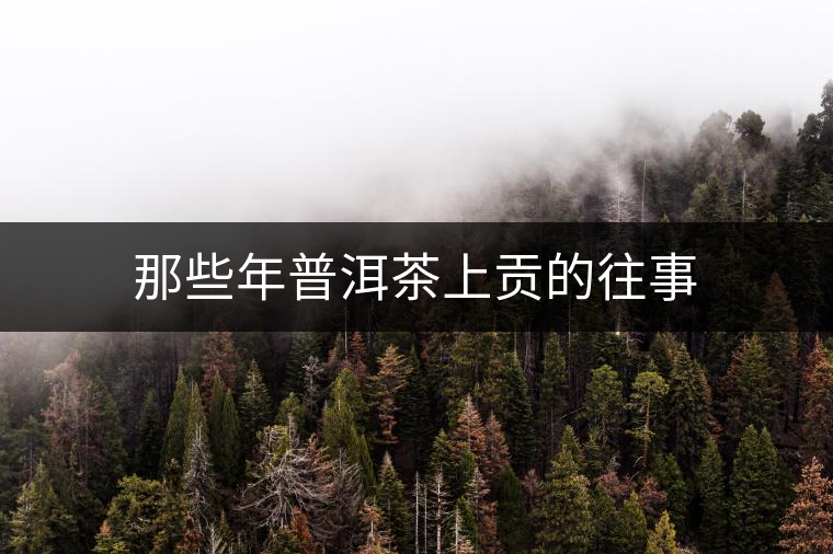 那些年普洱茶上貢的往事