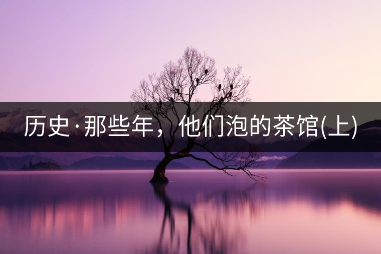 歷史·那些年，他們泡的茶館(上)