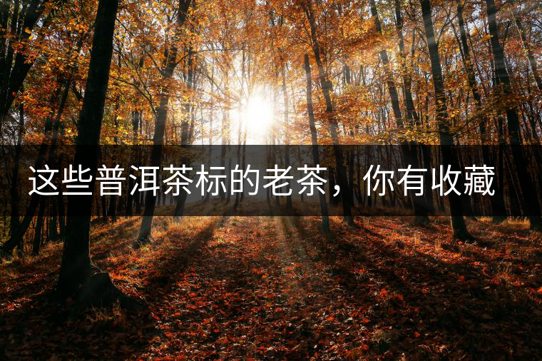 這些普洱茶標的老茶，你有收藏，你就發(fā)了