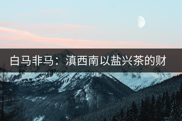 白馬非馬:滇西南以鹽興茶的財富密碼 白馬非馬:滇西南以鹽興茶的財富密碼