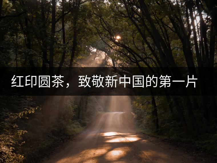 紅印圓茶，致敬新中國(guó)的第一片普洱茶，紅色江山生生不息！