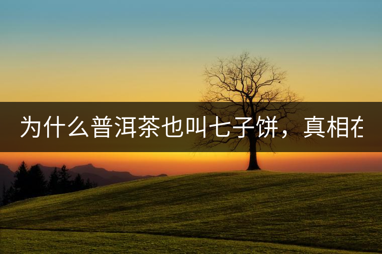 為什么普洱茶也叫七子餅，真相在這里！