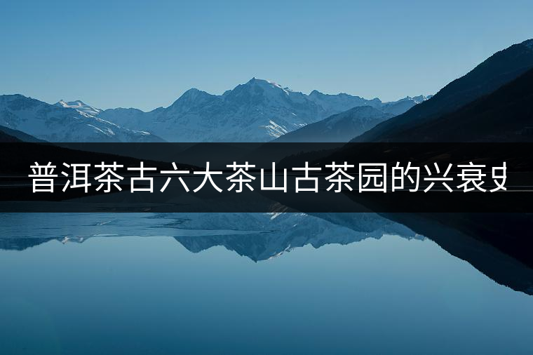普洱茶古六大茶山古茶園的興衰史！