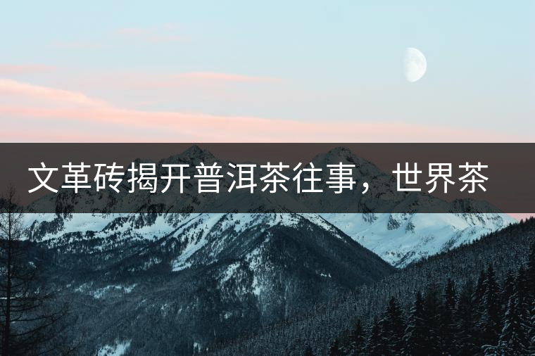 文革磚揭開普洱茶往事，世界茶文化交流協(xié)會成員共品經(jīng)典文革磚！