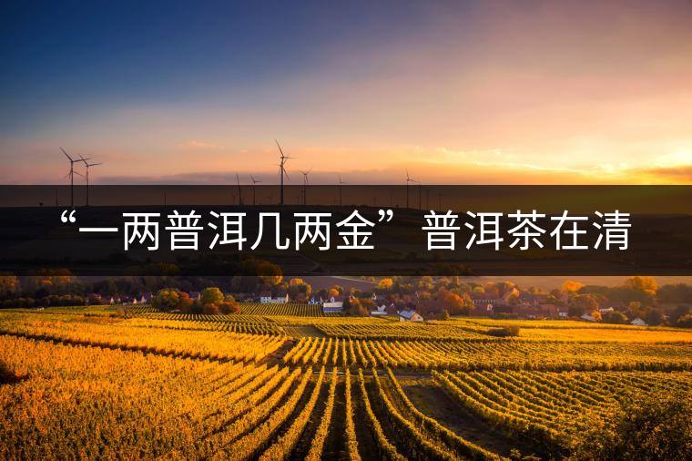 “一兩普洱幾兩金”普洱茶在清代為啥這么火？！
